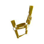 Kentucky Horsewear - Licol Velvet moutarde | - Ohlala