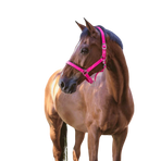 Norton - Licol fluo doublé rose | - Ohlala
