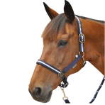 Canter - Halster en loodlijn nylon marine / zilver | - Ohlala