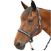 Canter - Halster en loodlijn nylon marine / zilver | - Ohlala