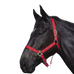 Riding World - Licol en nylon rouge | - Ohlala