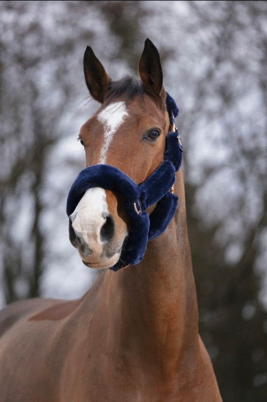 Licol cheval moumoute bleu marine - Cheval et Compagnie