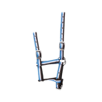 Norton - Licol pour poulains réglable choco/ blanc/ ciel | - Ohlala