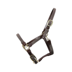 Kentucky Horsewear - Licol cheval nylon tressé gris | - Ohlala