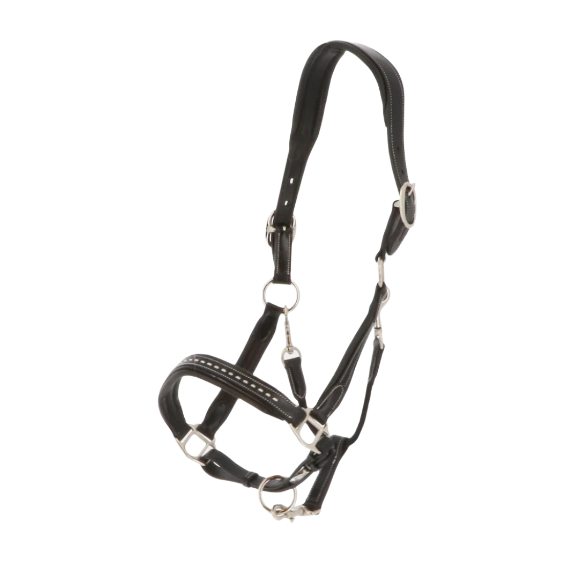 Pénélope - Licol cheval cuir Point Sellier noir | - Ohlala