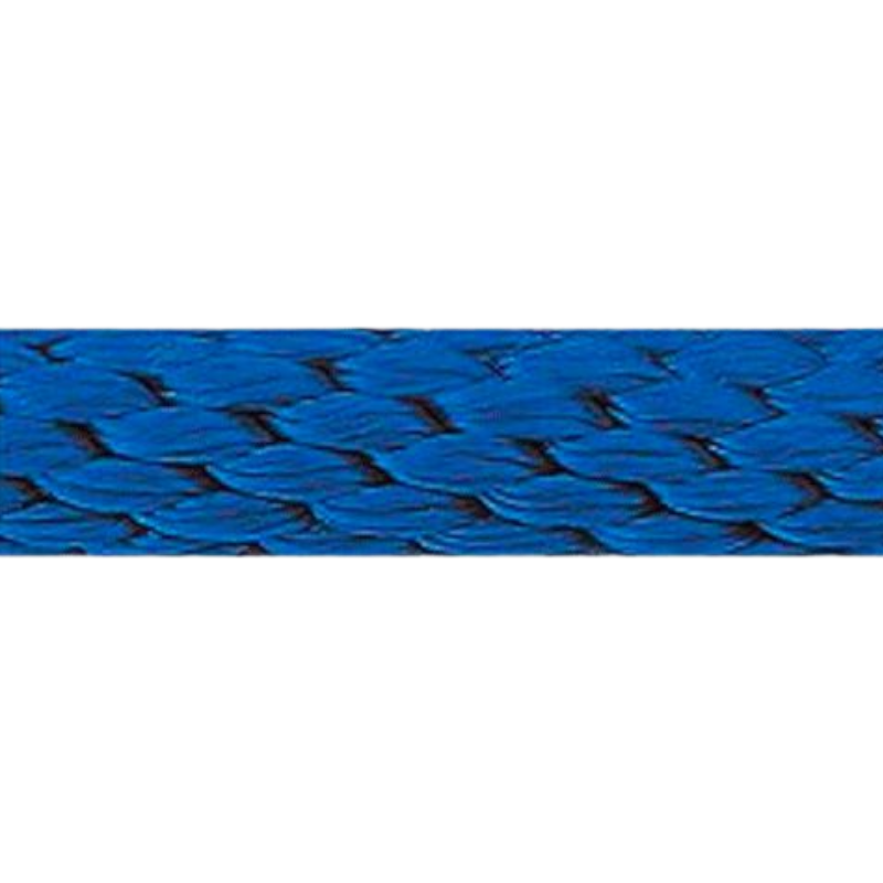 Norton - Longe d'attache 2 m bleu roi | - Ohlala