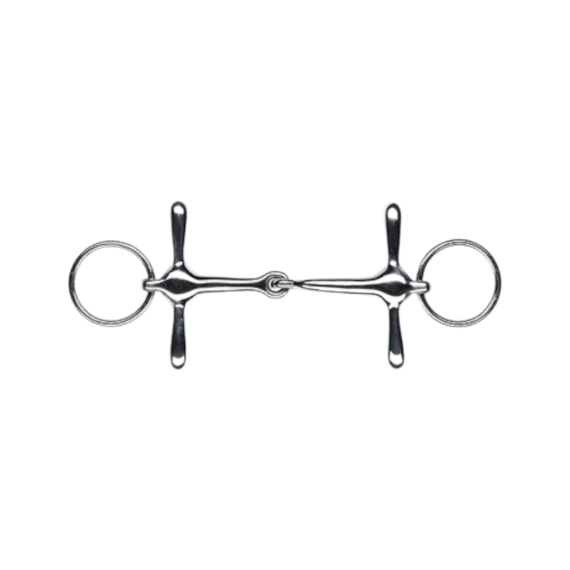 Feeling - Mors éducatif | - Ohlala