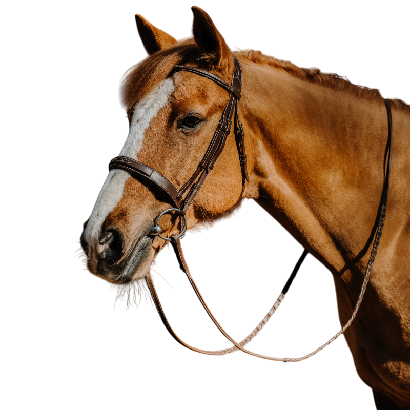 Norton - Bridon Hunter Fancy havane | - Ohlala