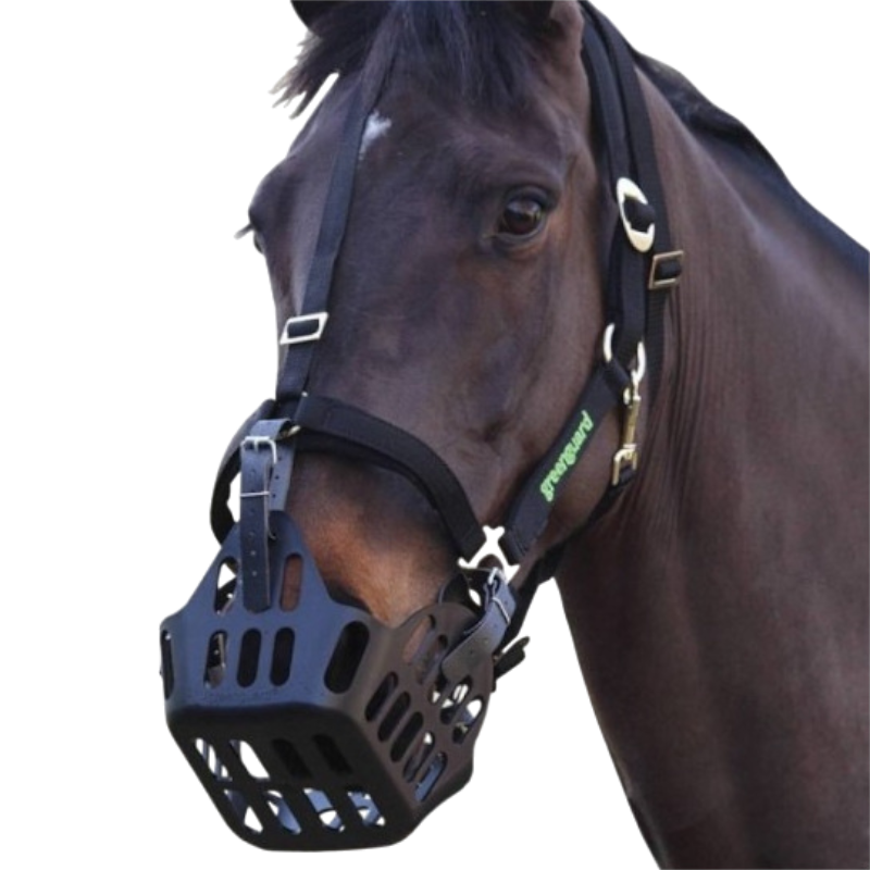 Greenguard - Pack panier et licol thérapeutique noir | - Ohlala