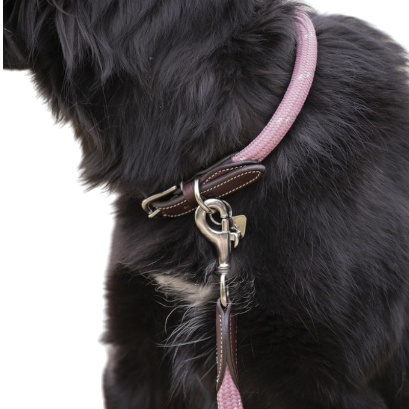 Pénélope - Collier pour chien Billie rose/ lurex | - Ohlala