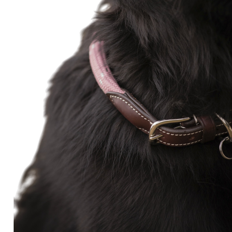 Pénélope - Collier pour chien Billie rose/ lurex | - Ohlala