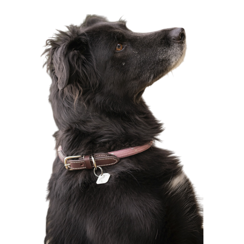 Pénélope - Collier pour chien Billie rose/ lurex | - Ohlala