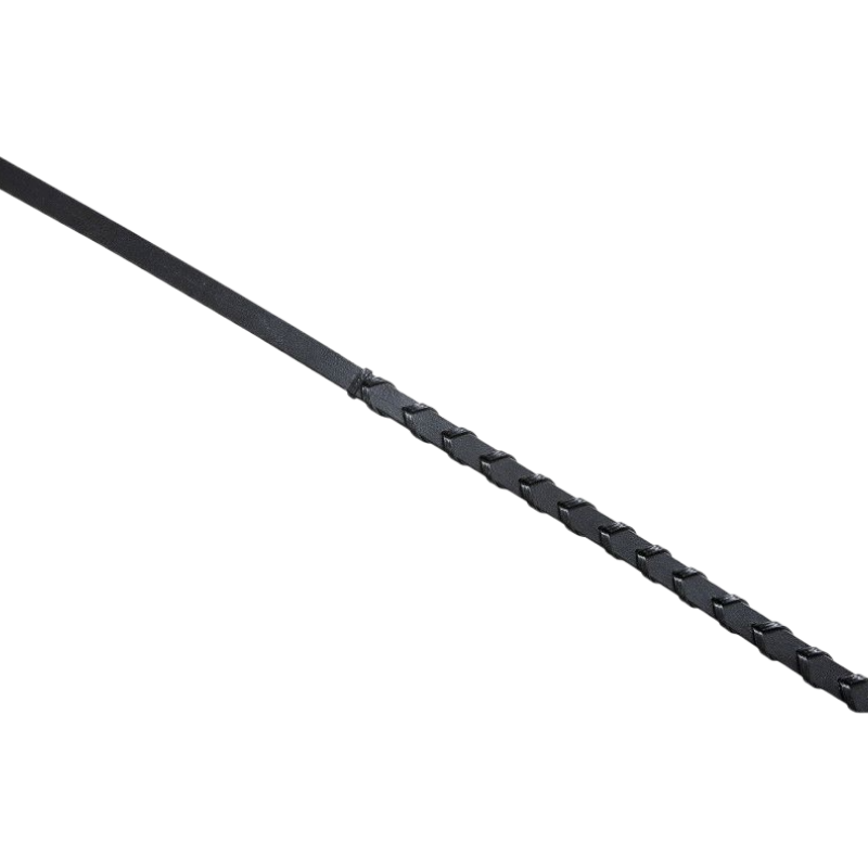 Eric Thomas - Rênes brédies | - Ohlala