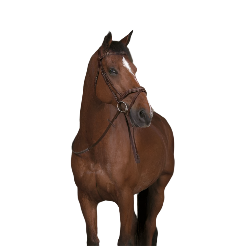 Norton Pro - Rênes en caoutchouc havane | - Ohlala