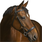 Norton - Bridon Side pull "PRO" confort noir | - Ohlala