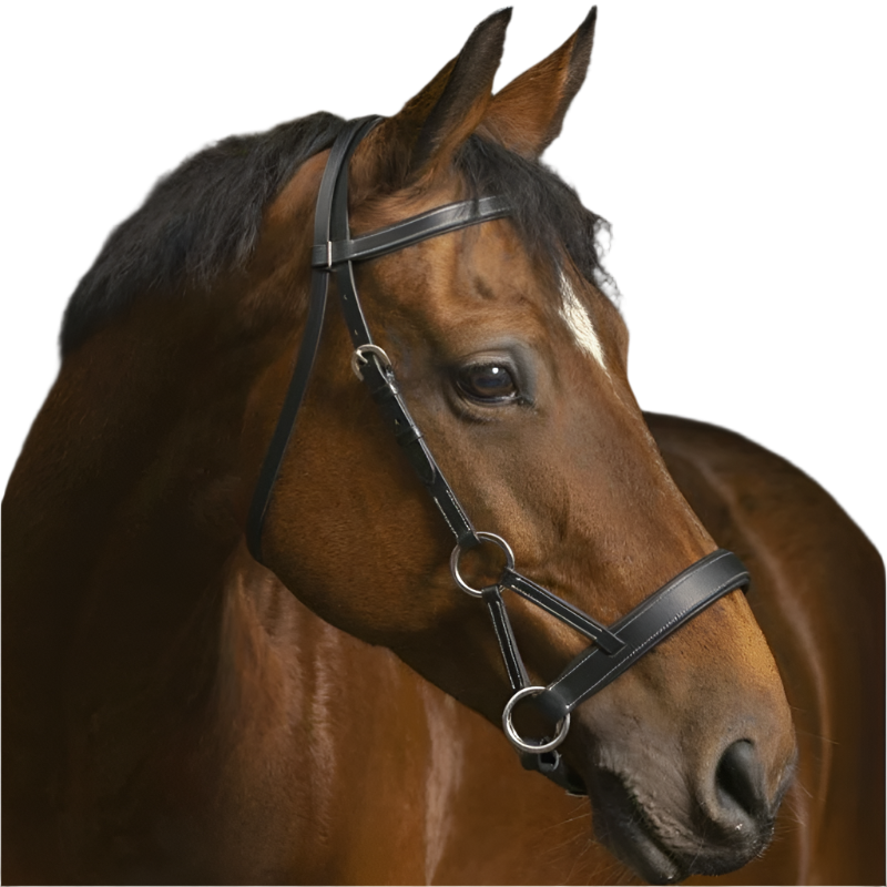 EKKIA Side-pull NORTON PRO 'Confort' – Bridon En Cuir De Buffle, Sans Rênes, Pour Cheval, Noir