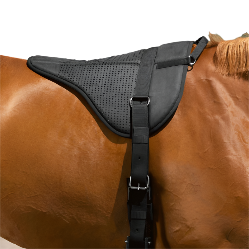 Norton - Tapis monte à cru silicone noir | - Ohlala