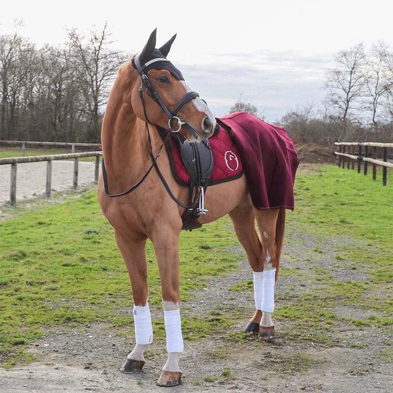 Kentucky Horsewear - Bonnet Wellington noir | - Ohlala