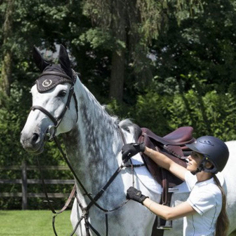 Back On Track - Bonnet pour cheval noir | - Ohlala