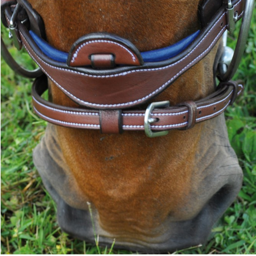 Flags & Cup - Bridon combiné Paris avec rênes marron | - Ohlala