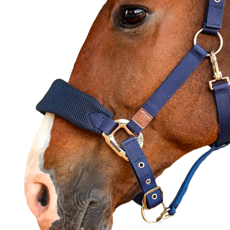 Harcour - Licol pour chevaux Hega marine | - Ohlala