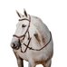 Horseware - Rambo Micklem 2 Deluxe Competition hoofdstel met teugels havana | - Ohlala