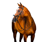 Horseware - Rambo Micklem 2 Deluxe Competition Hoofdstel met teugels zwart | - Ohlala