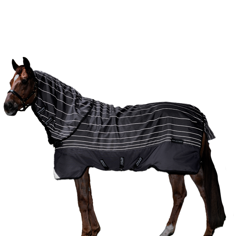 Horseware Amigo Bravo 12 Plus Disc ab € 162,36 | Preisvergleich bei Horseware Amigo Bravo 12 Plus Disc ab € 162,36 | Preisvergleich bei