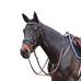 Jump'In - Bridon One Premium Clincher havane | - Ohlala