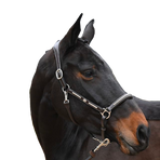 Jump'In - Leren halster One Premium Clincher hazelnoot | - Ohlala