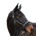 Jump'In - Leren halster One Premium Clincher hazelnoot | - Ohlala