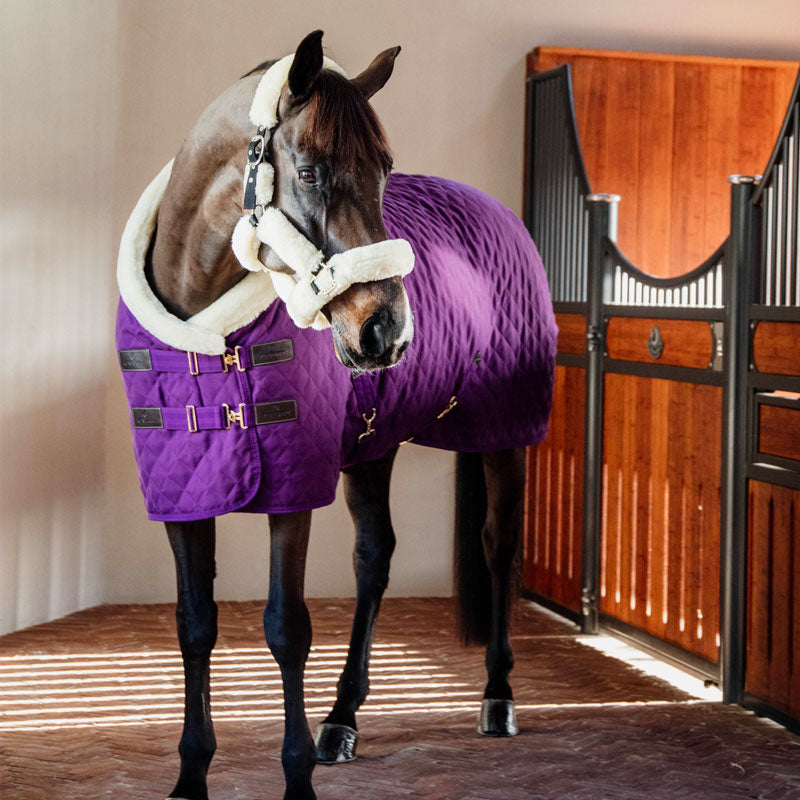 Kentucky Horsewear - Fluwelen showdeken paars 160g | - Ohlala