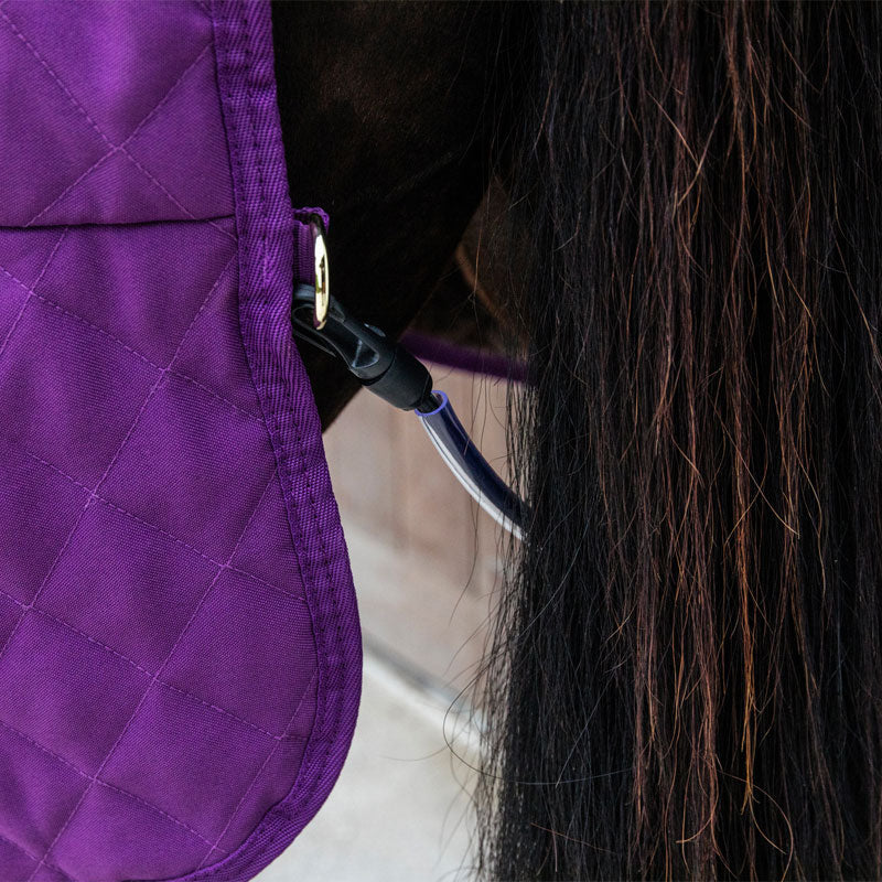 Kentucky Horsewear - Fluwelen showdeken paars 160g | - Ohlala