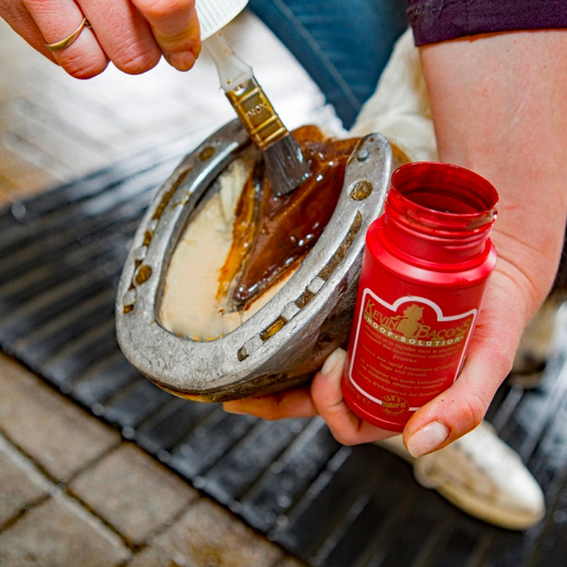 Kevin Bacon's - Hoof Solution | - Ohlala