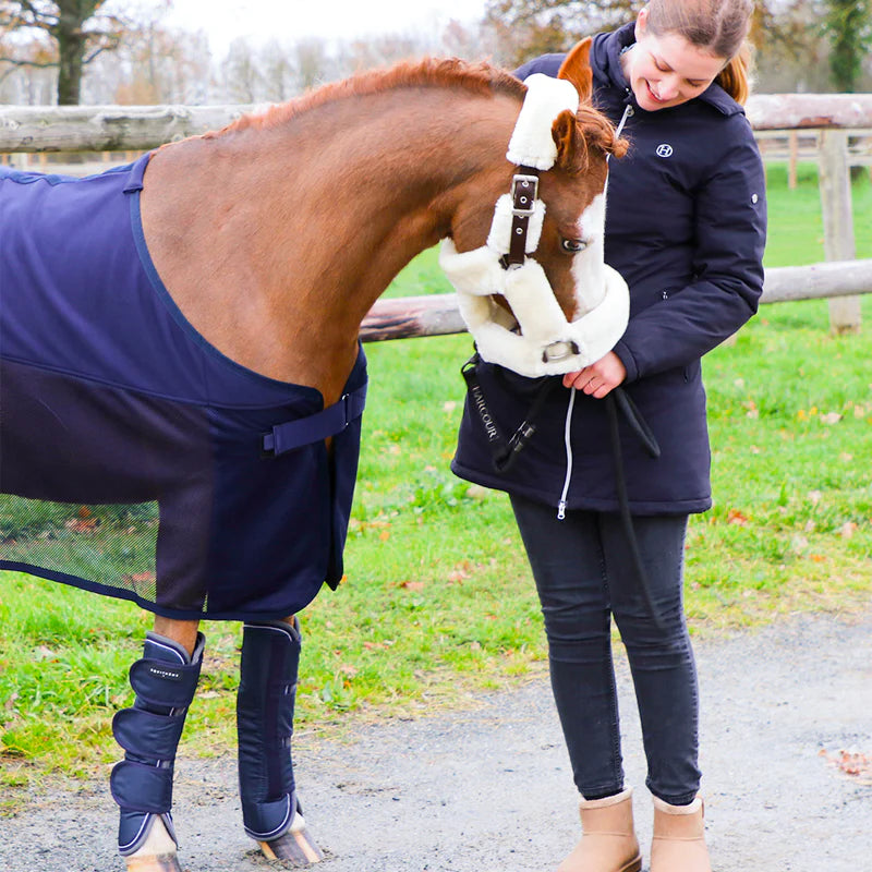 Equithème - Licol de transport Teddy marron/ écru | - Ohlala