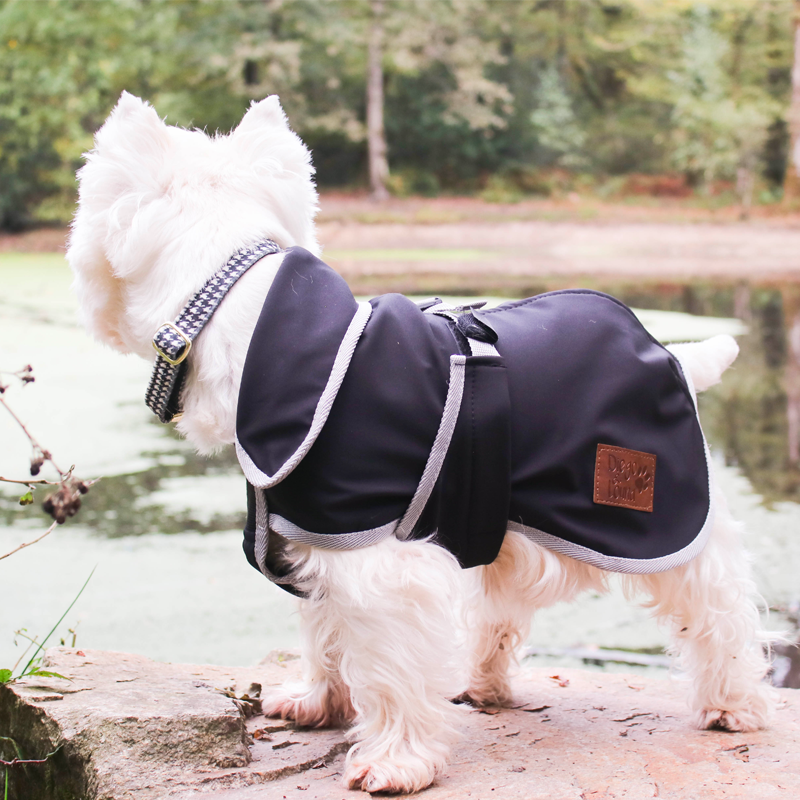 Manteau chien tom and co hotsell