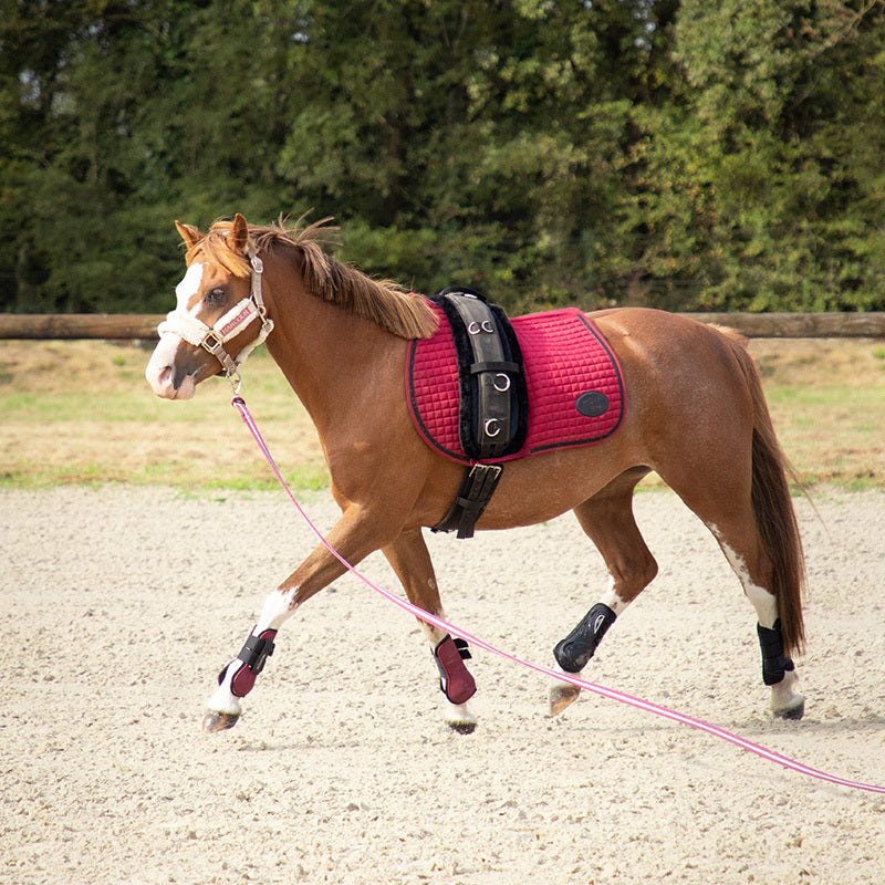 Norton - Tapis de surfaix noir | - Ohlala