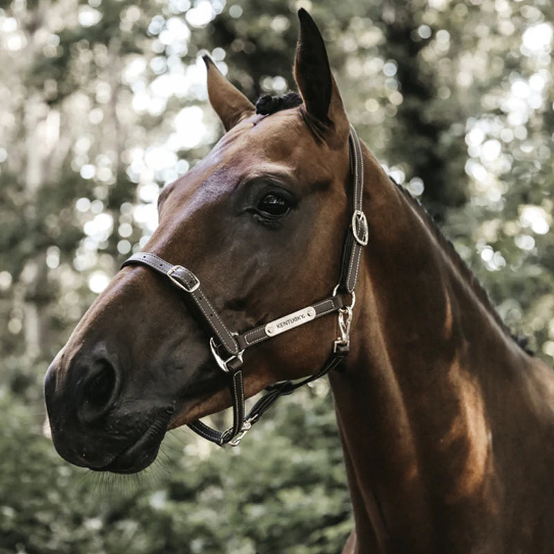 Kentucky Horsewear - Licol en cuir flexible neck piece choco | - Ohlala