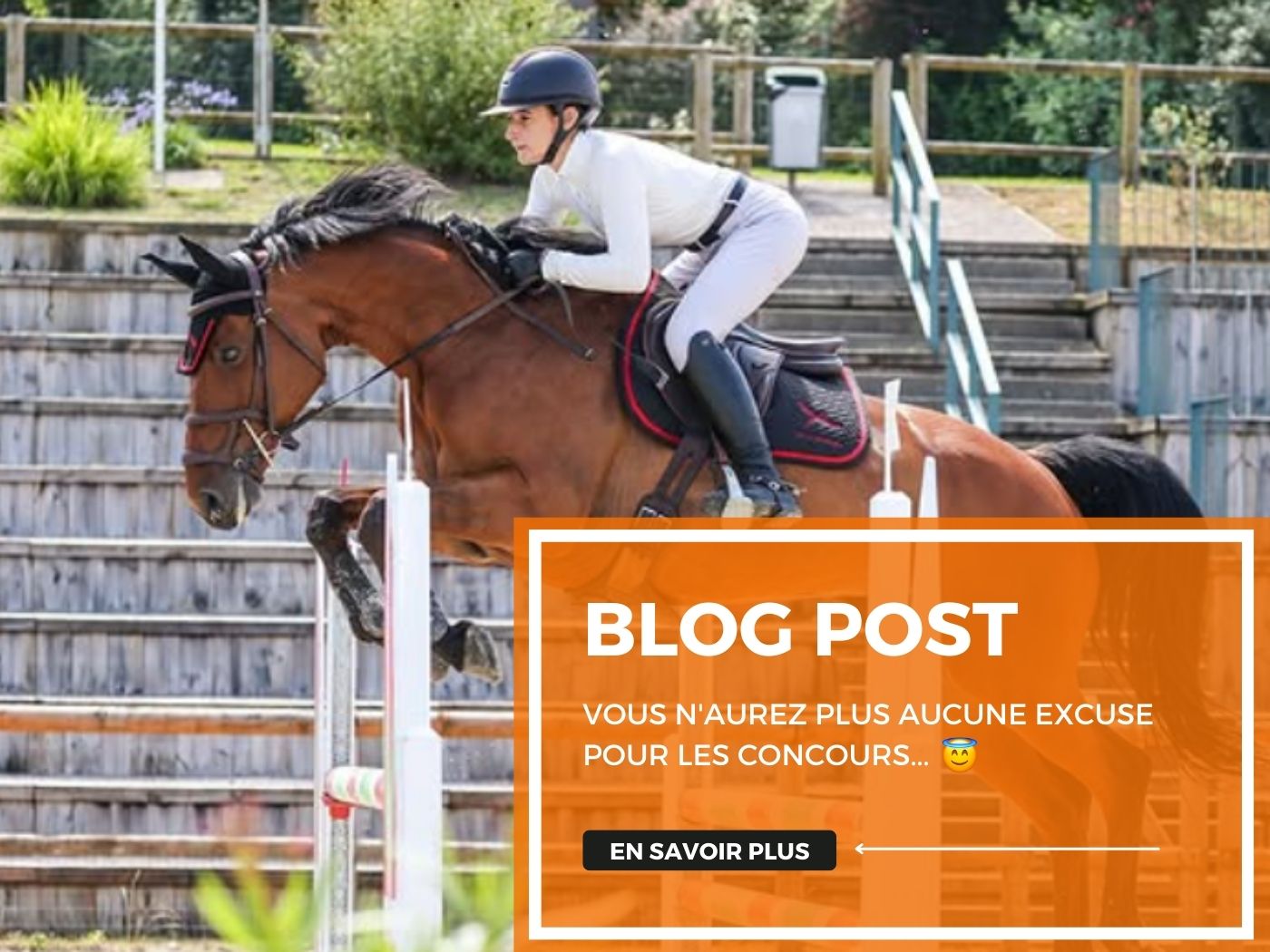 Vous n'aurez plus aucune excuse pour les concours...😇