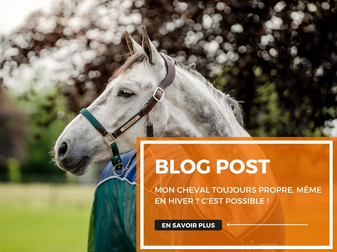 Mon cheval toujours propre, même en hiver ? C'est possible !