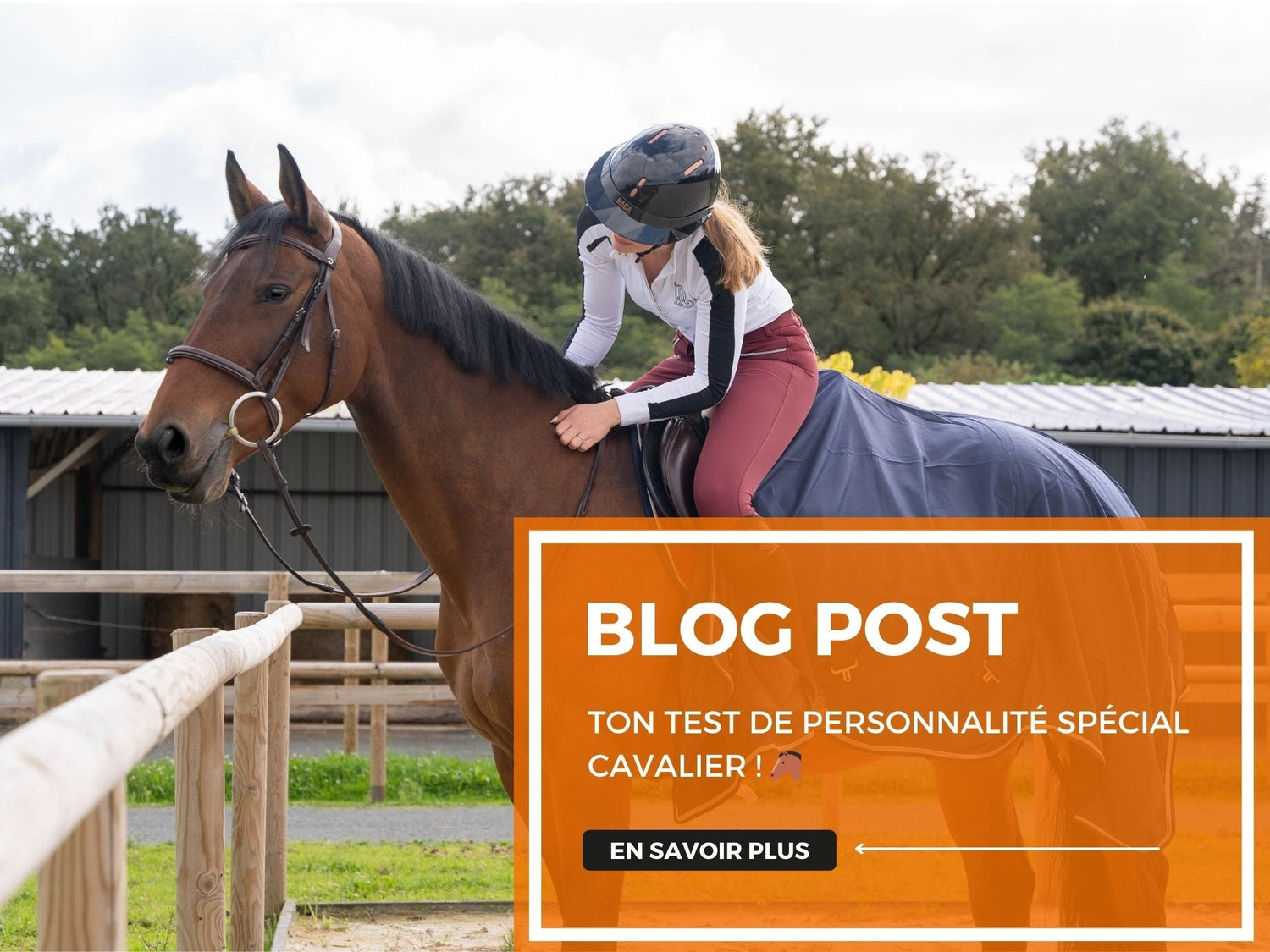 Ton test de personnalité spécial cavalier ! 🐴