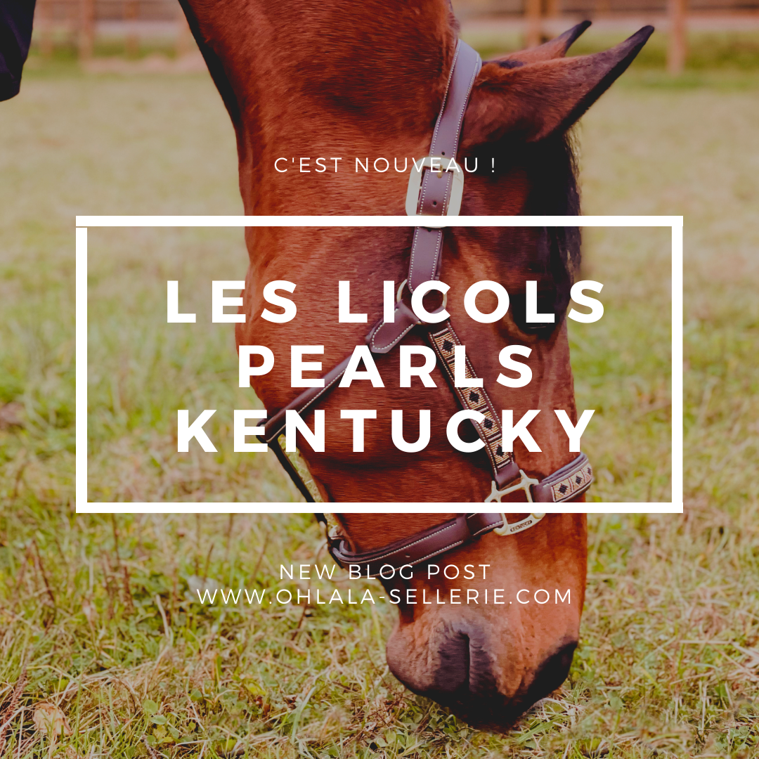 LES LICOLS PEARLS 📿  Kentucky a (encore) volé nos coeurs 💞