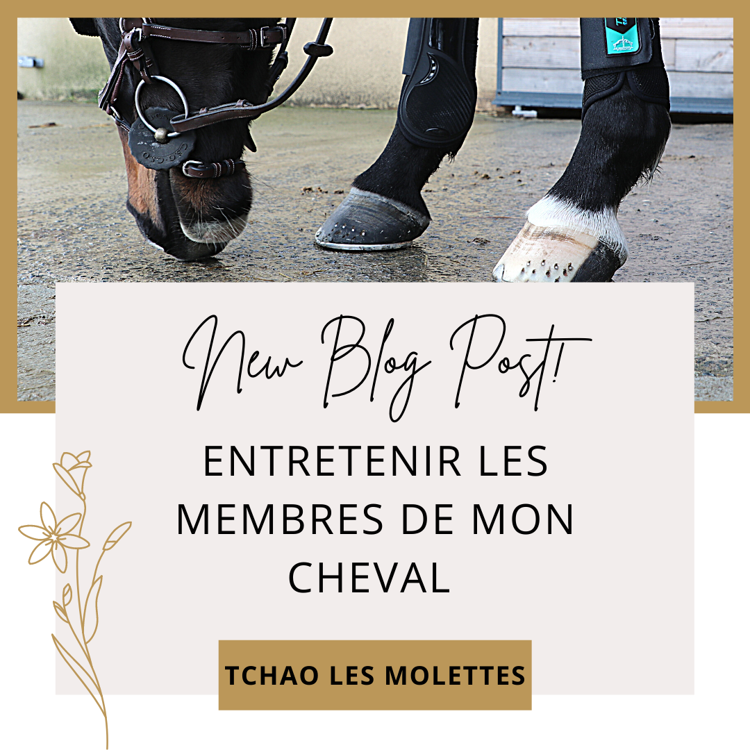 TCHAO LES MOLETTES ! Des membres comme neufs ? 🌈