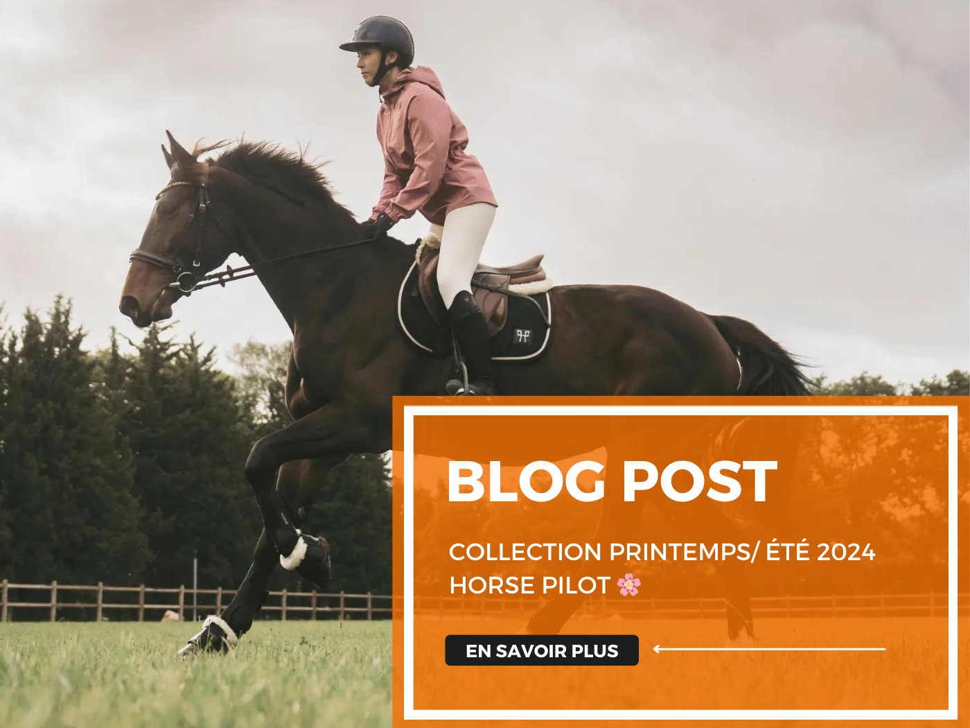 Collection printemps/ été 2024 Horse Pilot 🌸