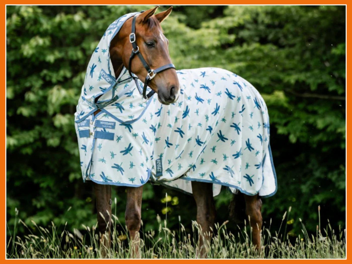 Couverture anti-mouches à motif libellules : pourquoi ce design protège vraiment votre cheval ?