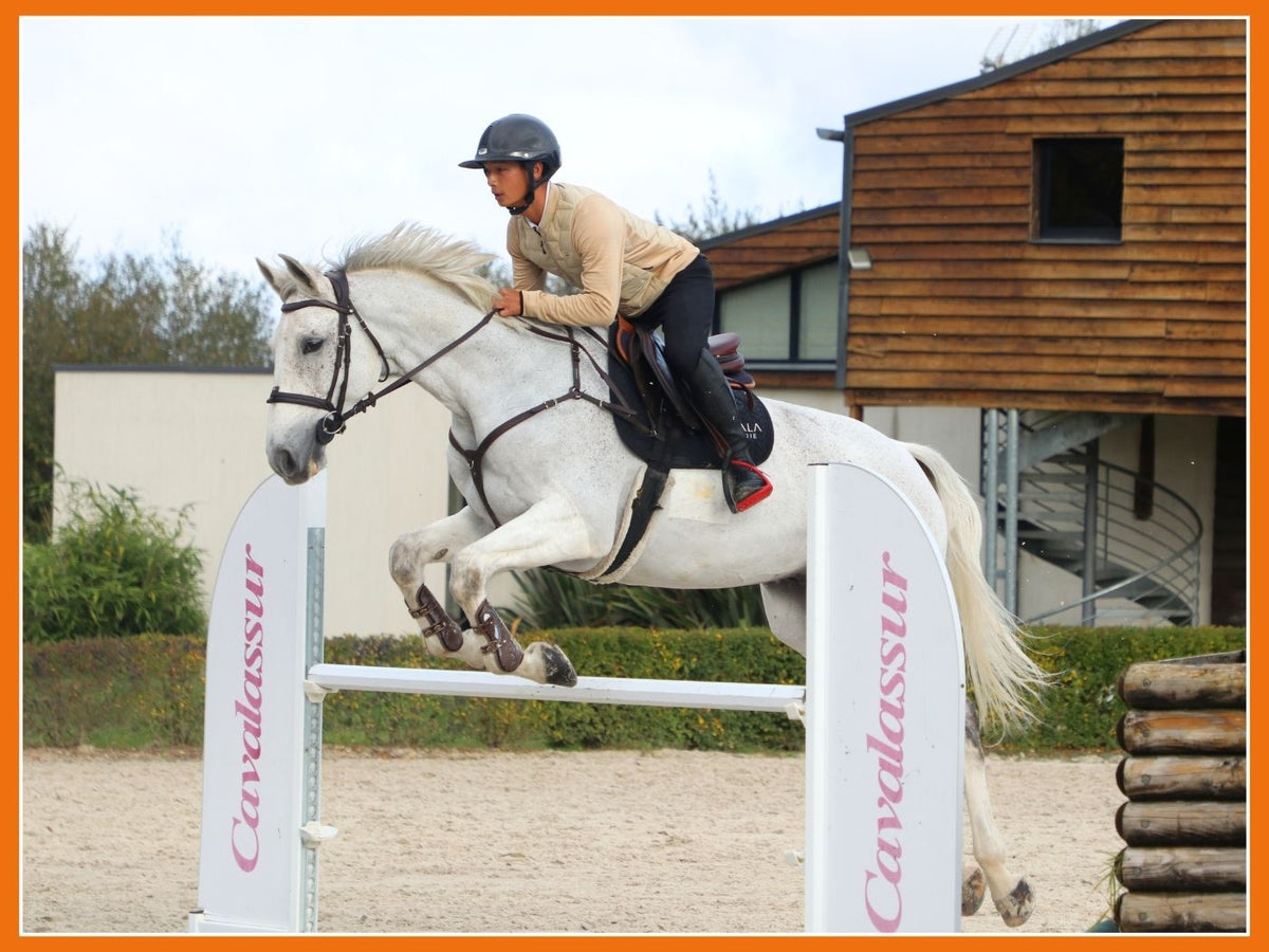 Comment préparer son cheval (et son équipement) pour l'automne ? 🍂