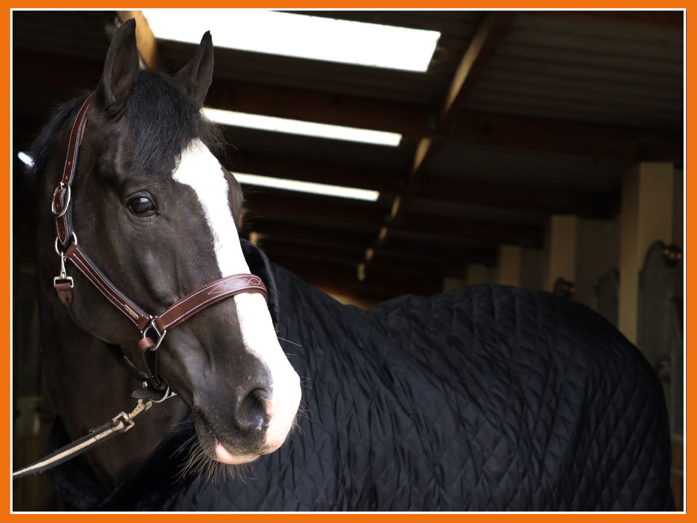 Comment choisir mes couvertures/ couvre-reins cet hiver ? 🥰🍂