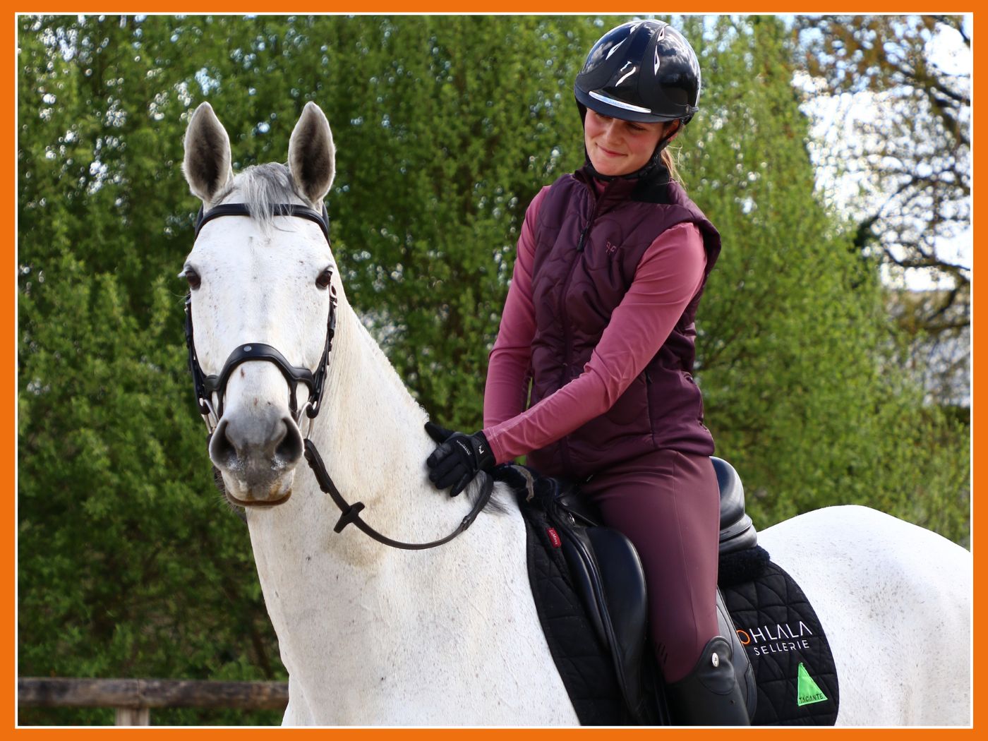 Choisir son mors: Les différents types de mors et leurs effets