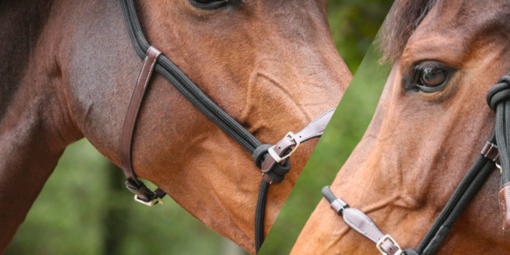 Comment gérer mon cheval (un peu trop) remuant en main ?