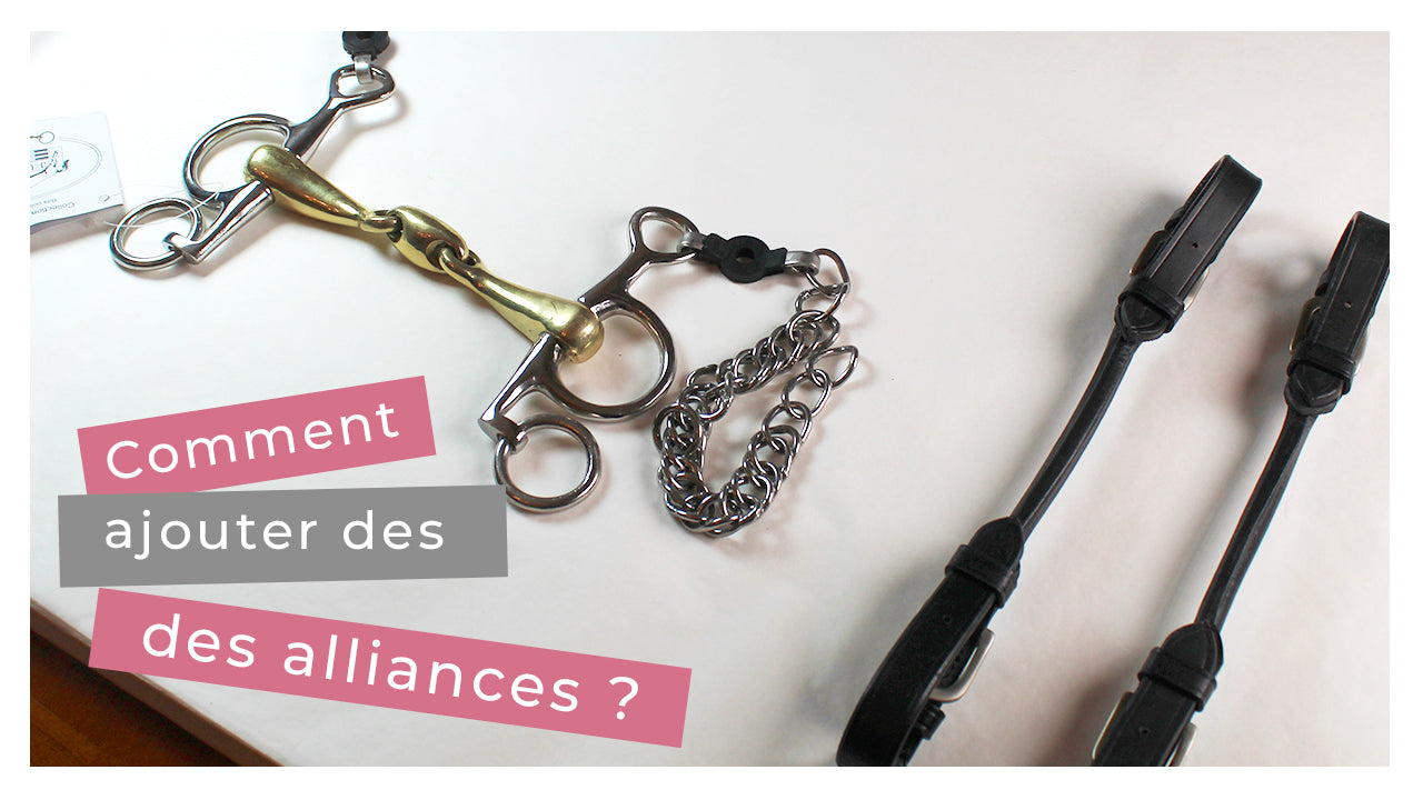 Comment mettre en place des alliances de mors ?